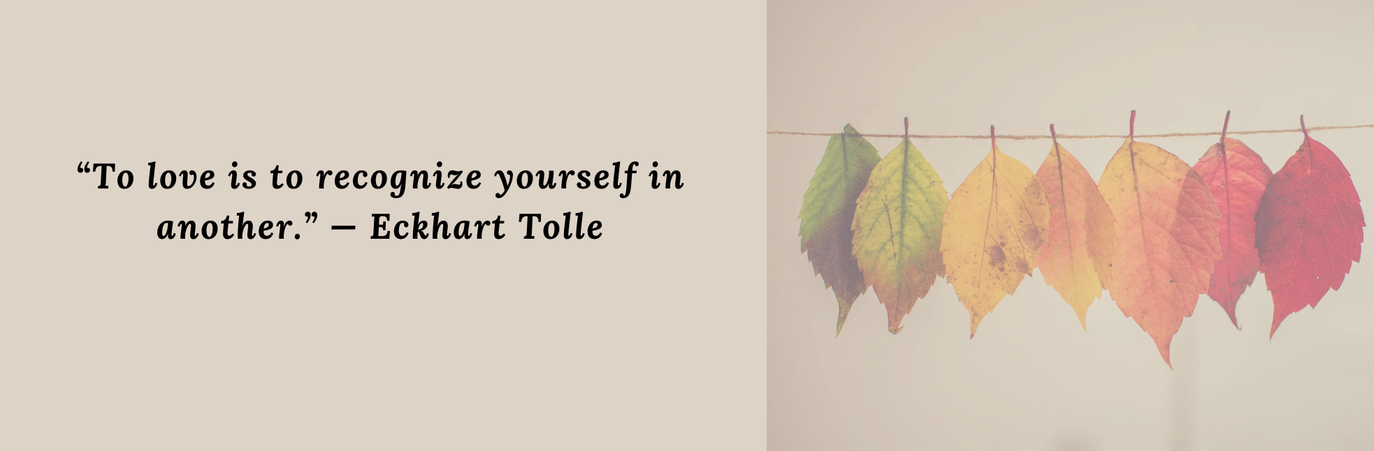 “To love is to recognize yourself in another.” — Eckhart Tolle