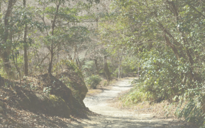 Pilgrimage with the Coat of Hopes