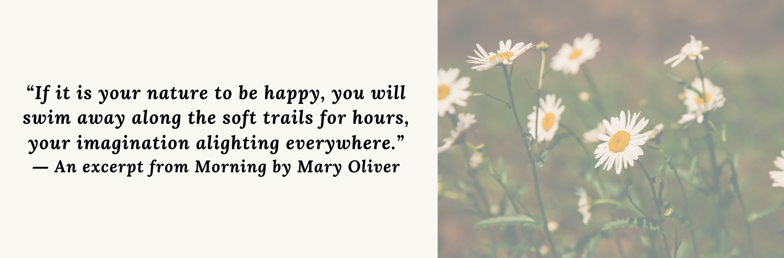 “If it is your nature to be happy, you will swim away along the soft trails for hours, your imagination alighting everywhere.” - Morning, Mary Oliver
