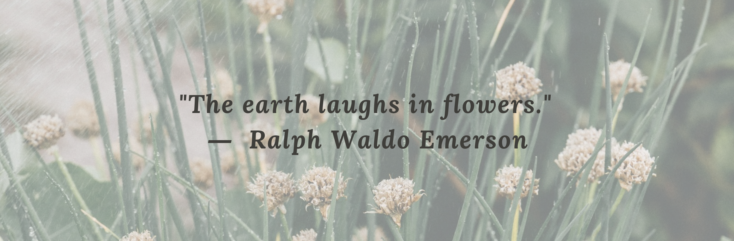 “If it is your nature to be happy, you will swim away along the soft trails for hours, your imagination alighting everywhere.” - Morning, Mary Oliver