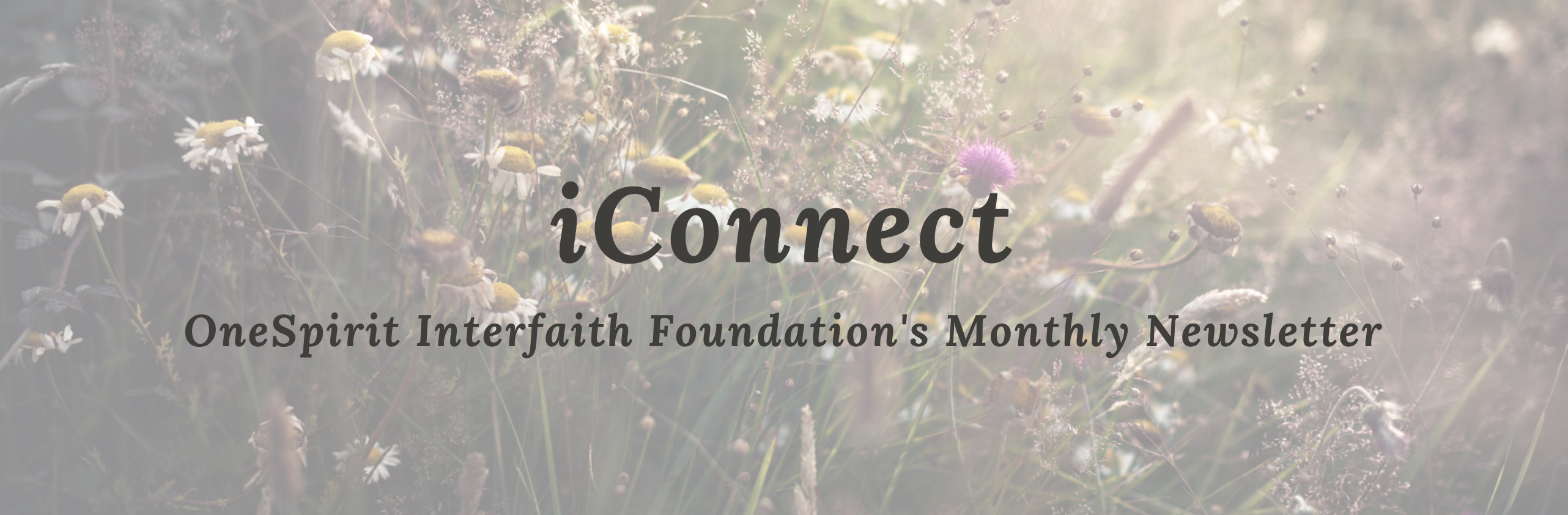 iConnect: This issue of OneSpirit’s Newsletter marks the opening of enrolment for our<br />
Spiritual Development and Ministry Training! Dive into everything you need to<br />
know about the Birch Pathway - detailed just below.