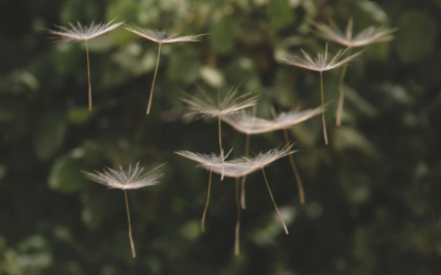 Engaging with the Ebb and Flow of Spirituality