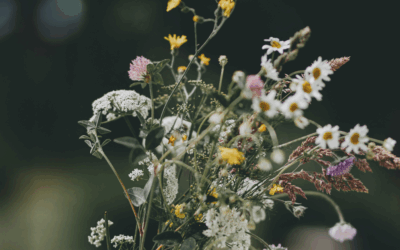 In the Season of Light: A Solstice-Inspired Reflection