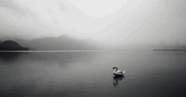 Asking the Divine: The Power and Purpose of Prayer