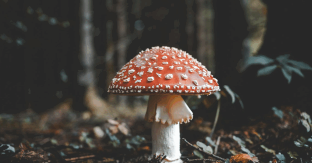 The Sacred Ground Beneath Our Feet