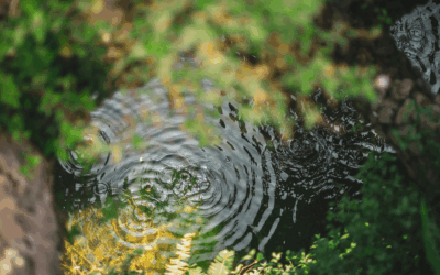 Beyond Words: The Sacred Art of Conscious Communication