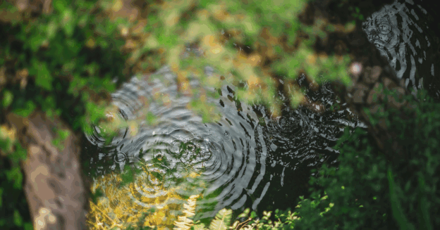 Beyond Words: The Sacred Art of Conscious Communication