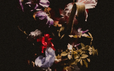 On Grief & Gentle Return