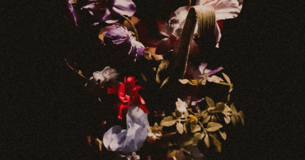 On Grief & Gentle Return