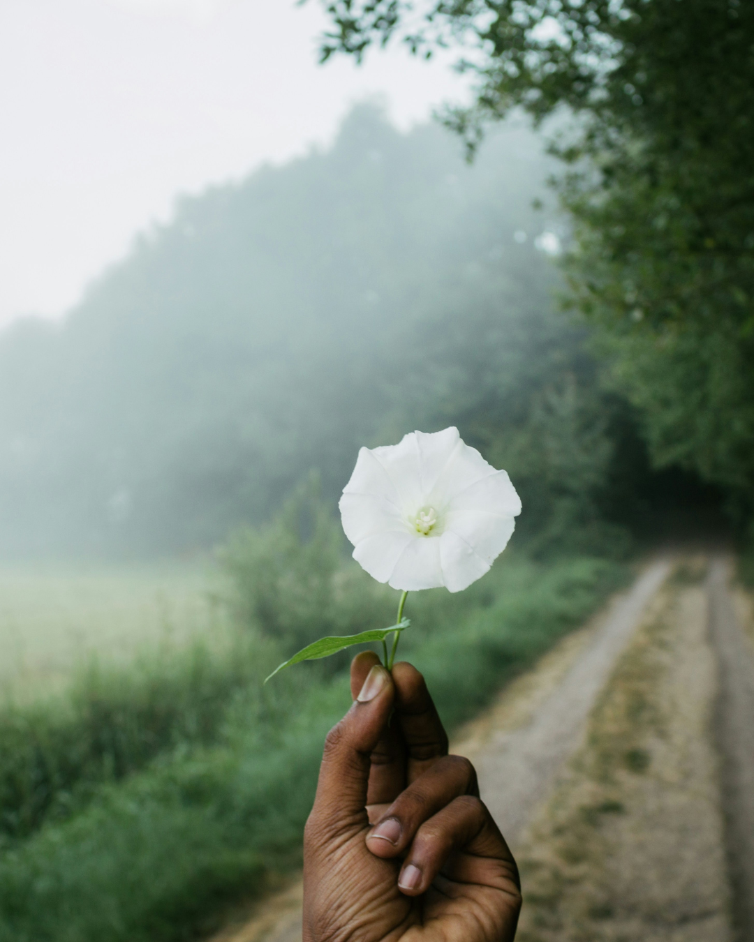 A beautiful golden bell hanging from a roof. The background is green from foliage and trees. 